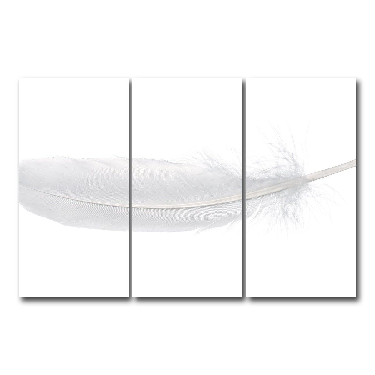 AUTO-MOCKUP WHITE | White Swan Feather | 3 Piece | Gallery Wrap Canvas | group=12x24