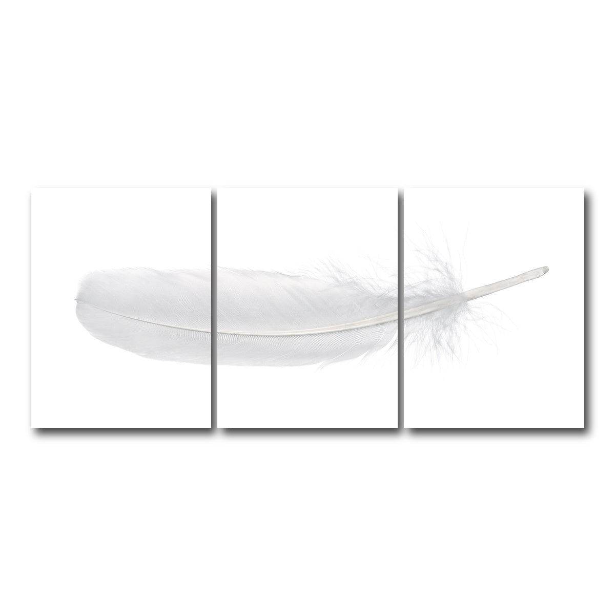 AUTO-MOCKUP WHITE | White Swan Feather | 3 Piece | Gallery Wrap Canvas | group=18x24