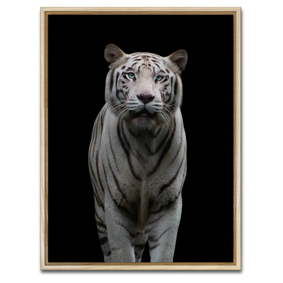 AUTO-MOCKUP WHITE | White Tiger | 1 Piece | Natural Framed Canvas | group=3x4