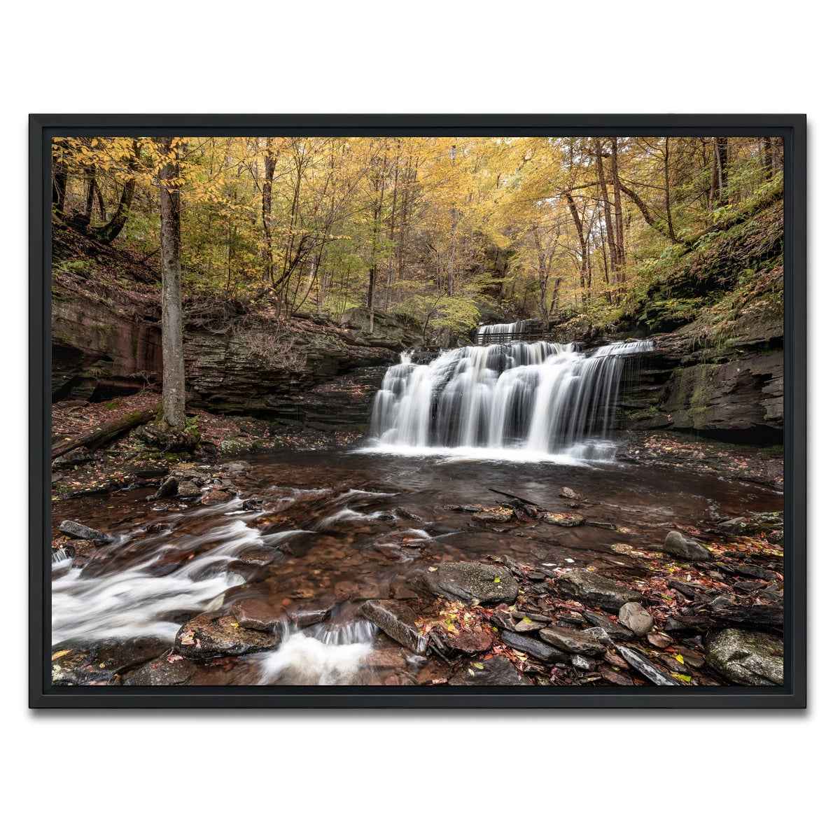 AUTO-MOCKUP WHITE | Who Loves Color | 1 Piece | Black Framed Canvas | group=4x3
