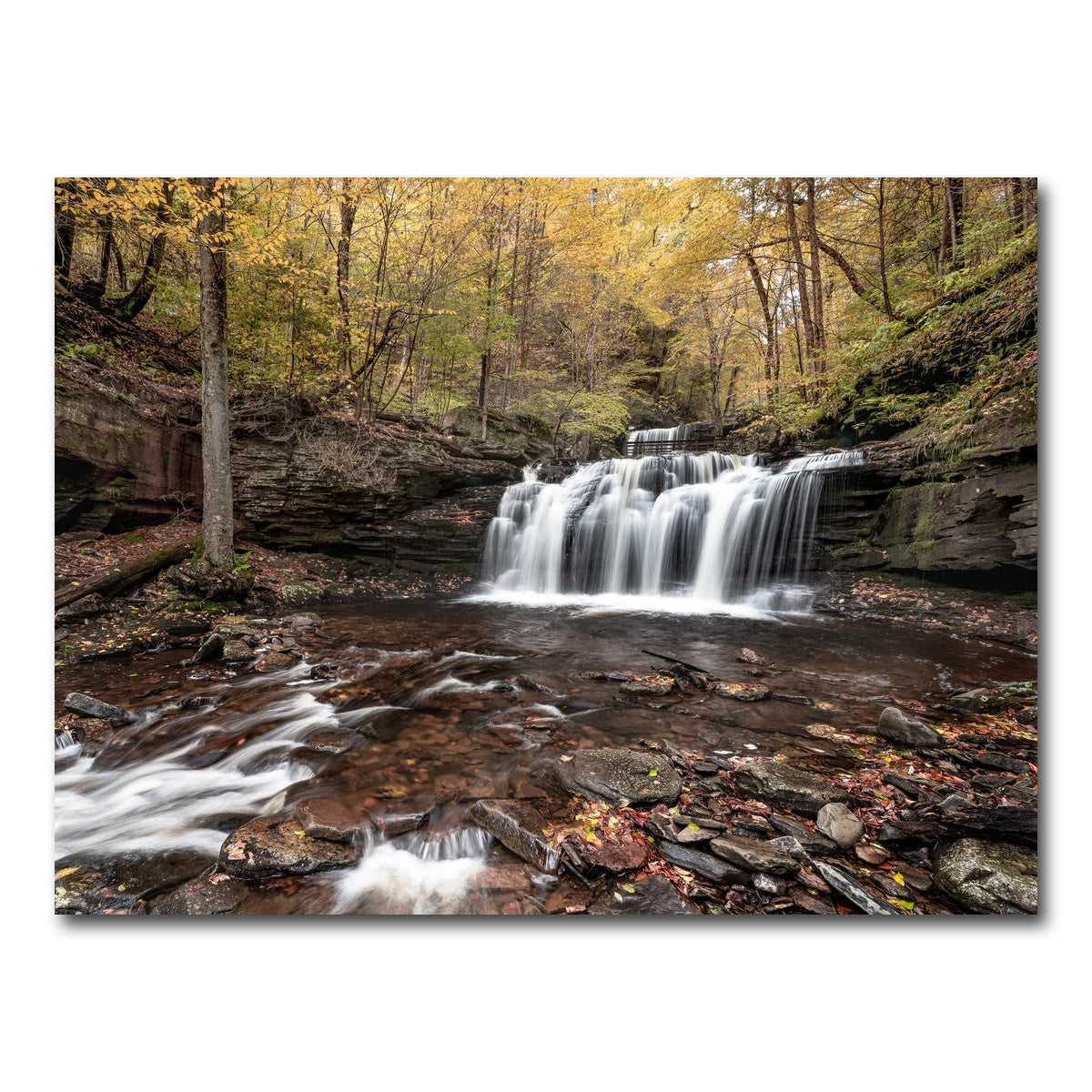 AUTO-MOCKUP WHITE | Who Loves Color | 1 Piece | Gallery Wrap Canvas | group=4x3