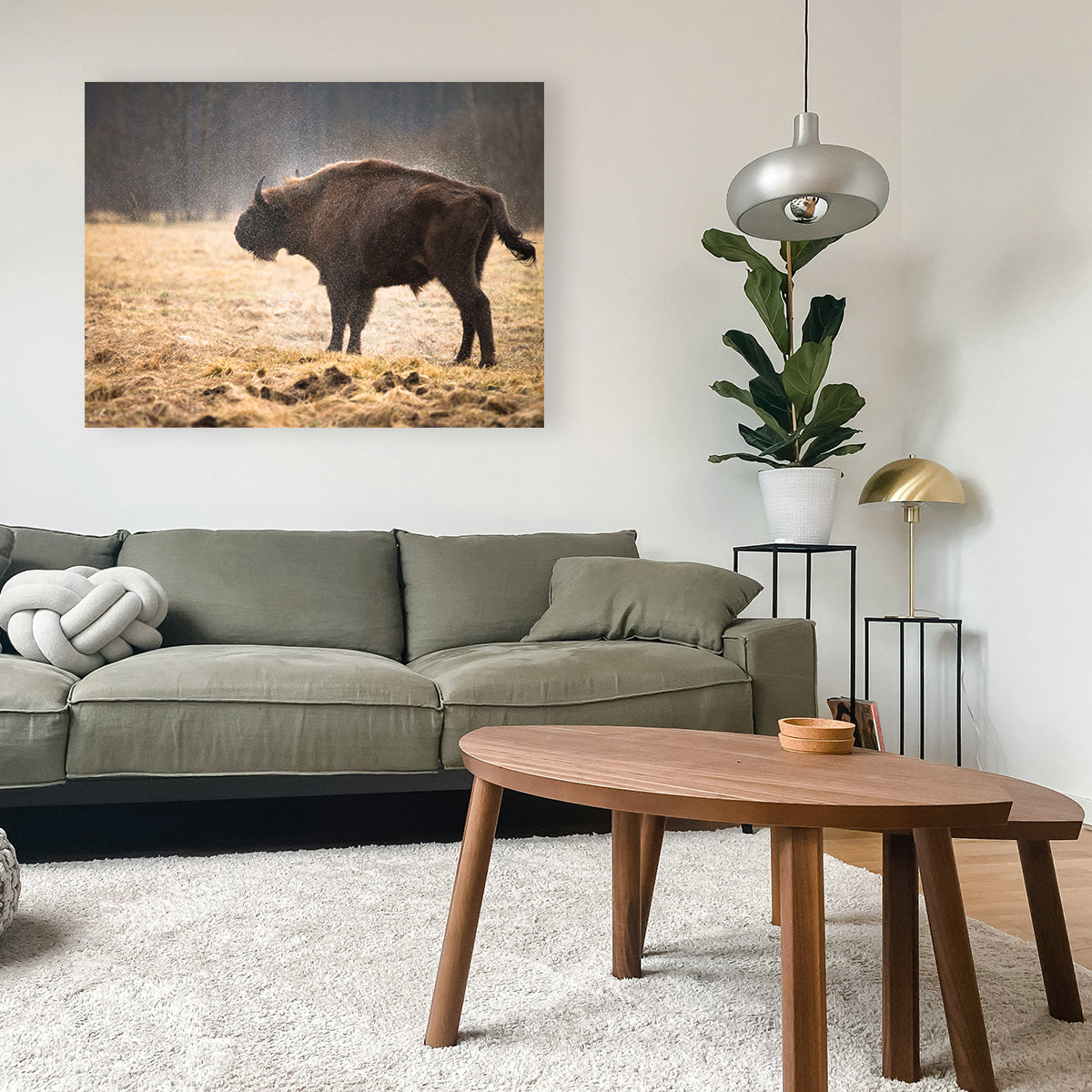 Wild Bison Shaking off Rain Wall Art