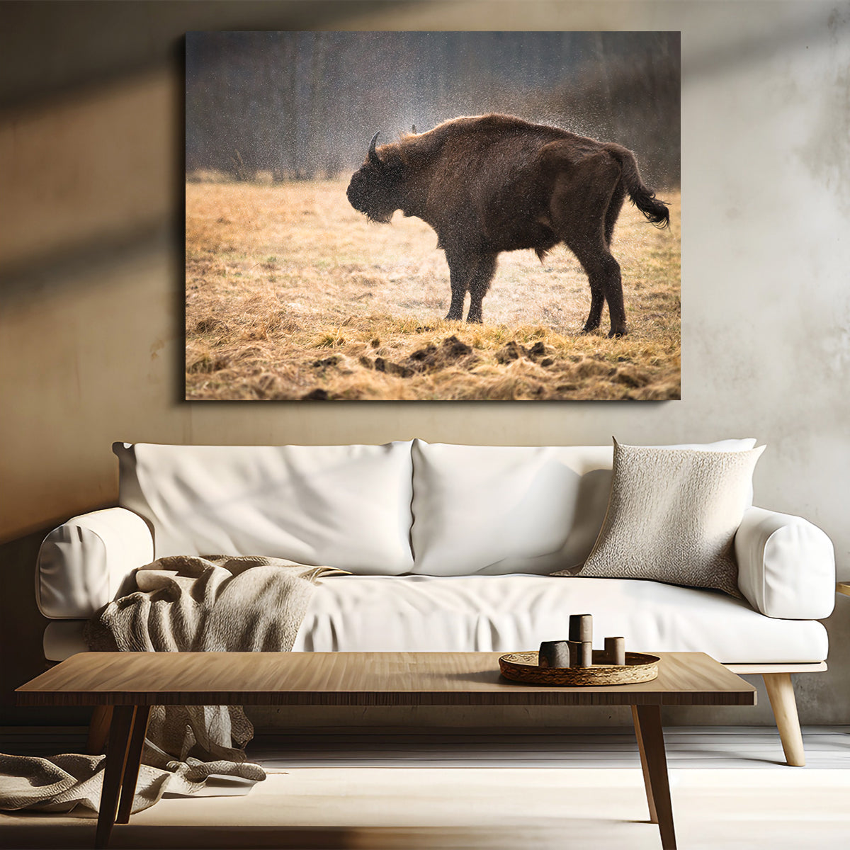 Wild Bison Shaking off Rain Wall Art