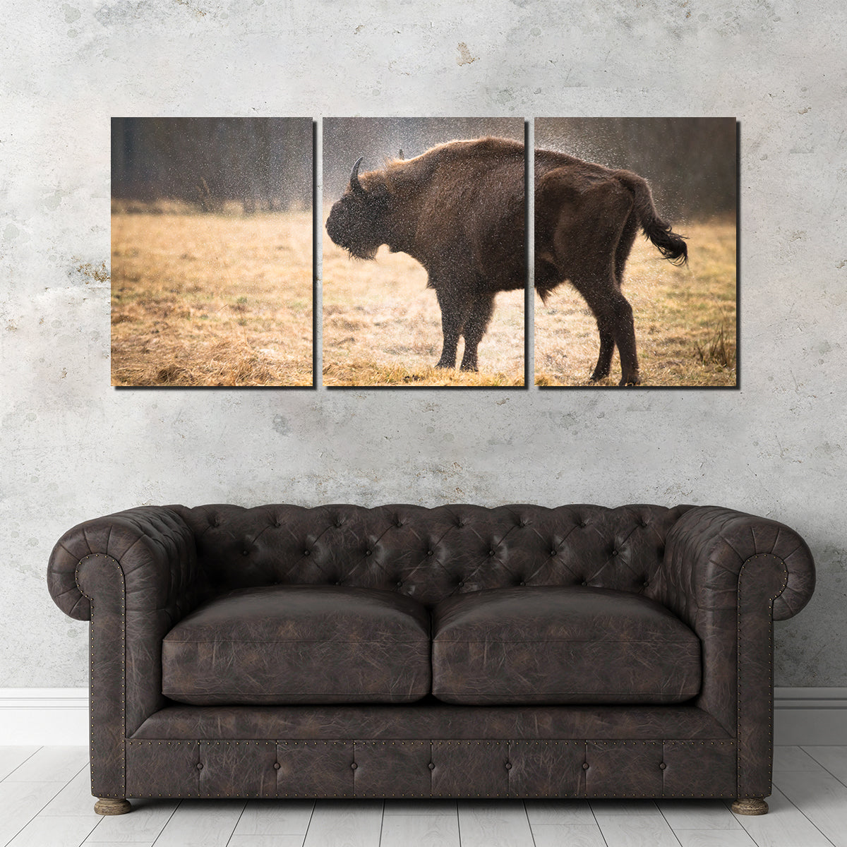 Wild Bison Shaking off Rain Wall Art