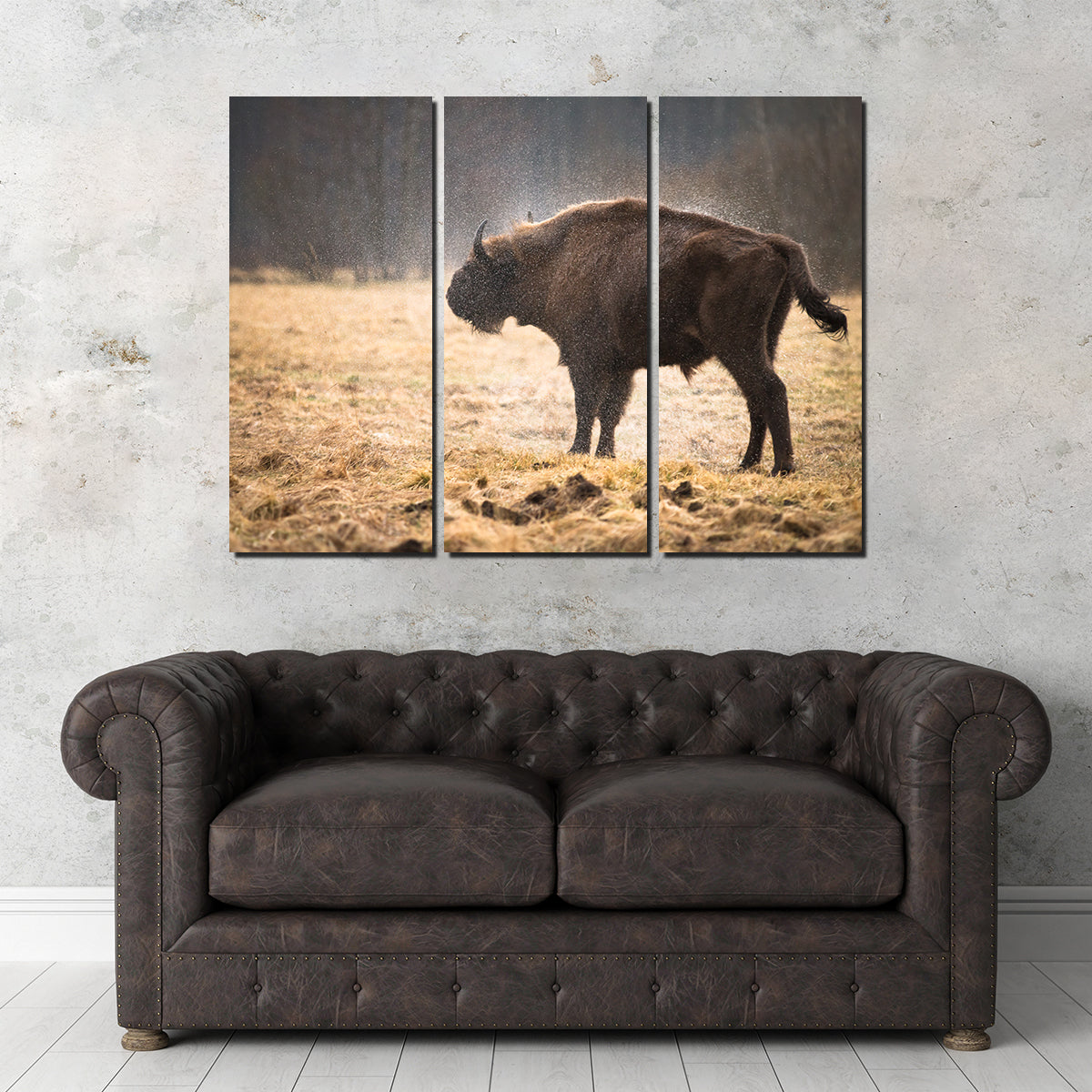 Wild Bison Shaking off Rain Wall Art