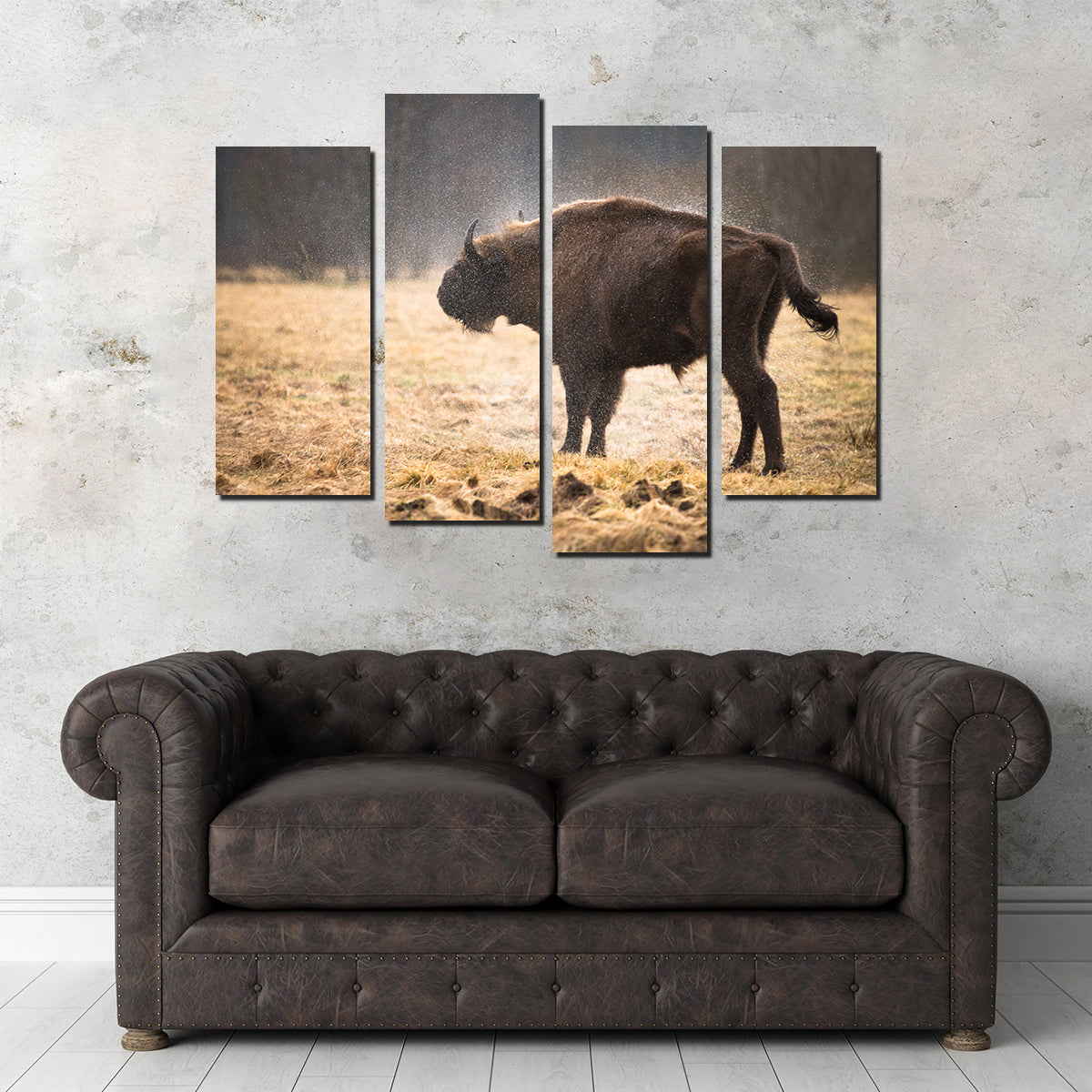 Wild Bison Shaking off Rain Wall Art