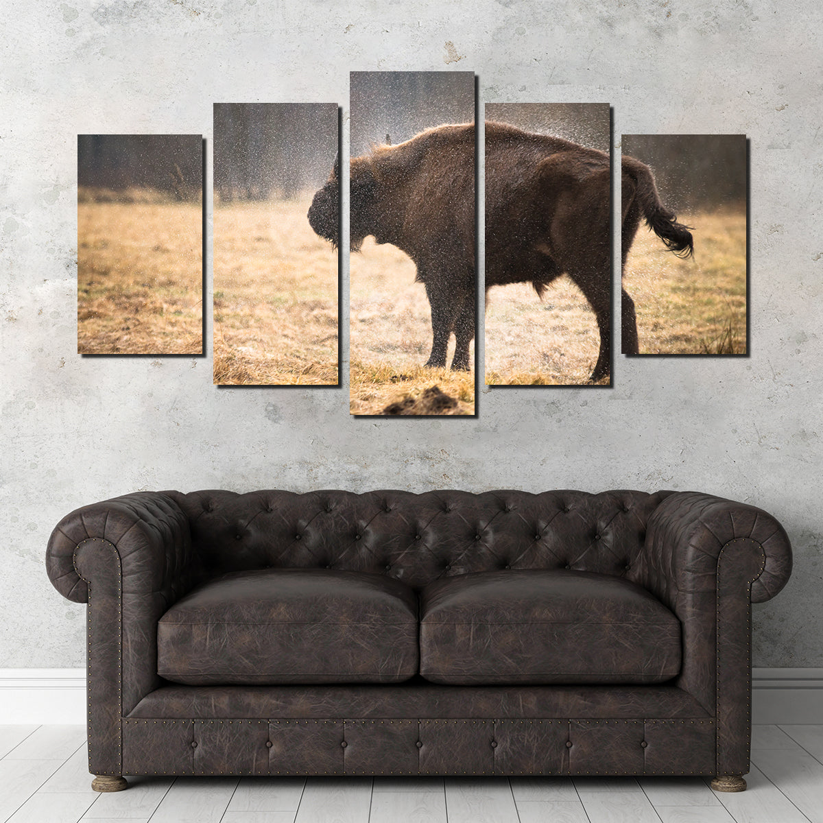 Wild Bison Shaking off Rain Wall Art