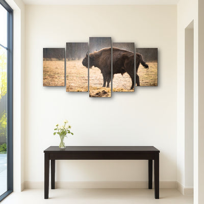 AUTO-MOCKUP ROOM | Wild Bison Shaking off Rain