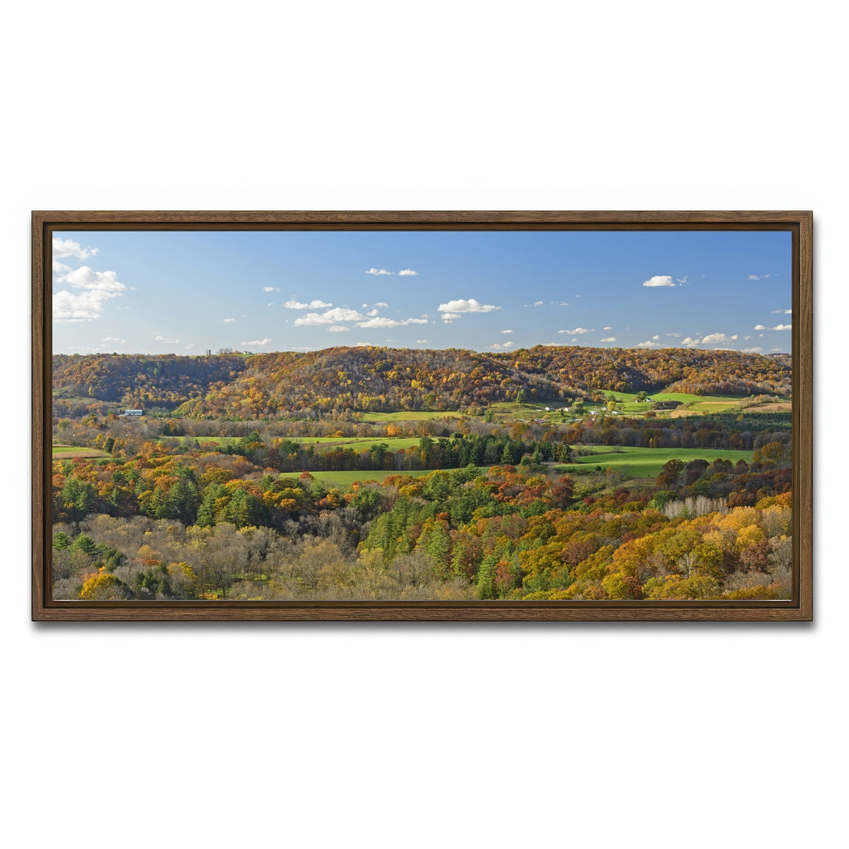 AUTO-MOCKUP WHITE | Wildcat Mountain State Park | 1 Piece | Walnut Framed Canvas | group=2x1