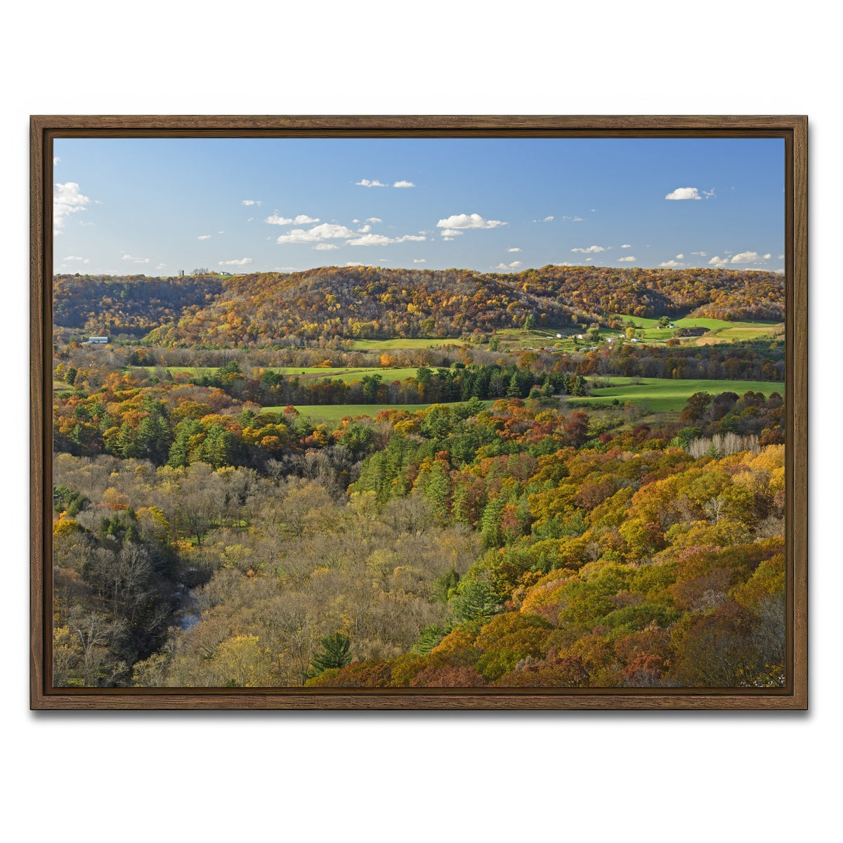 AUTO-MOCKUP WHITE | Wildcat Mountain State Park | 1 Piece | Walnut Framed Canvas | group=4x3