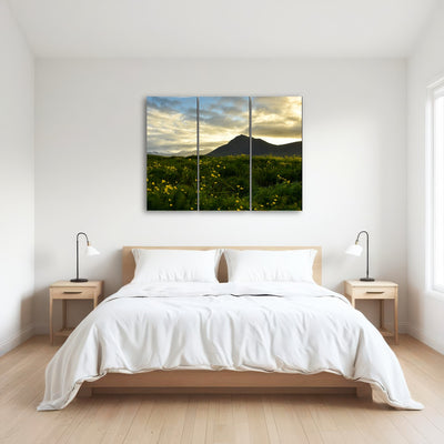 AUTO-MOCKUP ROOM | Wildflowers