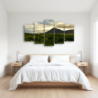 AUTO-MOCKUP ROOM | Wildflowers