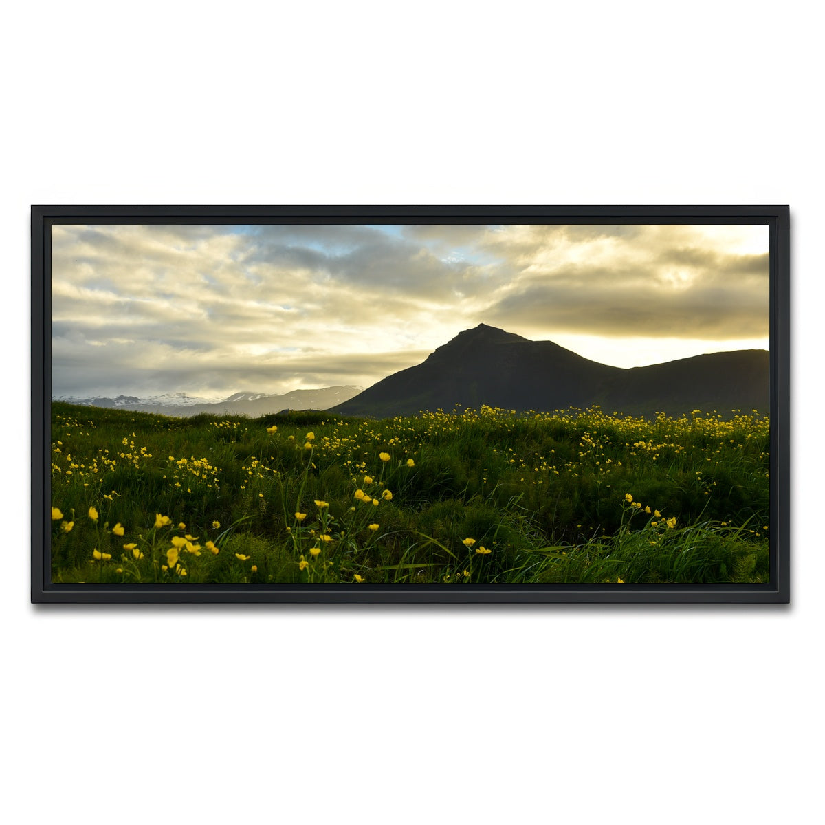AUTO-MOCKUP WHITE | Wildflowers | 1 Piece | Black Framed Canvas | group=2x1