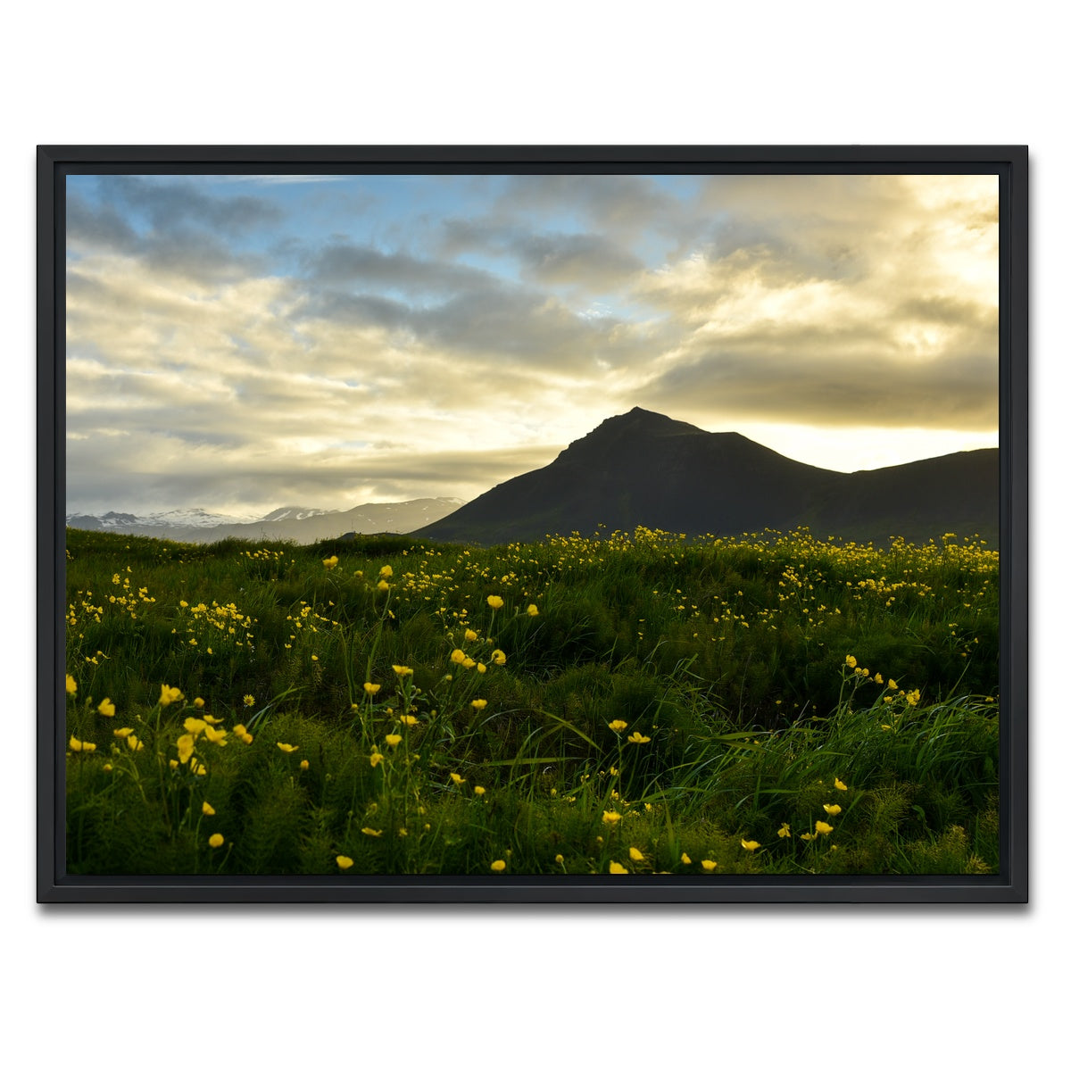 AUTO-MOCKUP WHITE | Wildflowers | 1 Piece | Black Framed Canvas | group=4x3