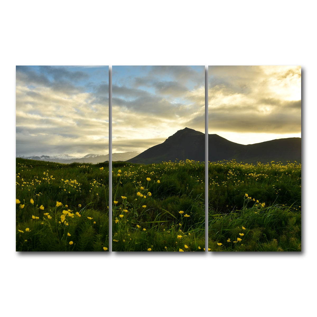AUTO-MOCKUP WHITE | Wildflowers | 3 Piece | Gallery Wrap Canvas | group=12x24