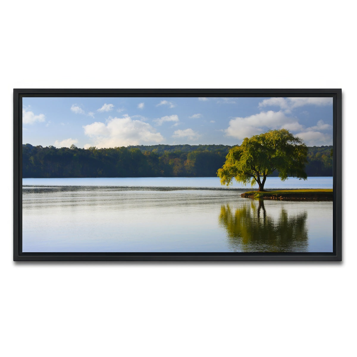 AUTO-MOCKUP WHITE | Willow tree on the Tennessee River | 1 Piece | Black Framed Canvas | group=2x1