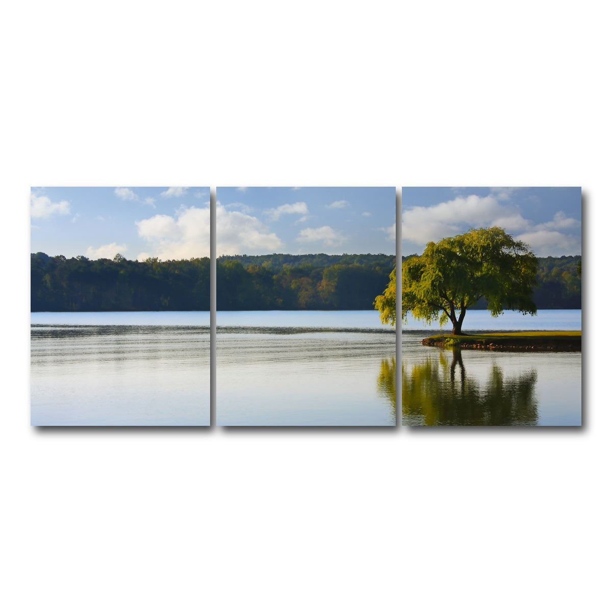 AUTO-MOCKUP WHITE | Willow tree on the Tennessee River | 3 Piece | Gallery Wrap Canvas | group=18x24