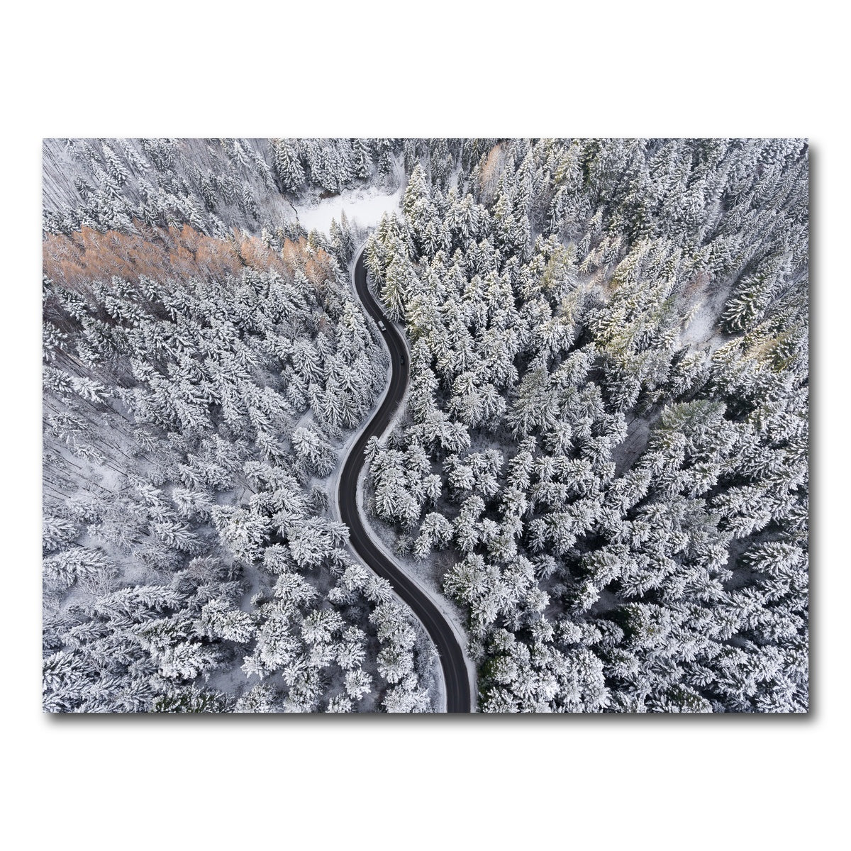 AUTO-MOCKUP WHITE | Winding Winter | 1 Piece | Gallery Wrap Canvas | group=4x3