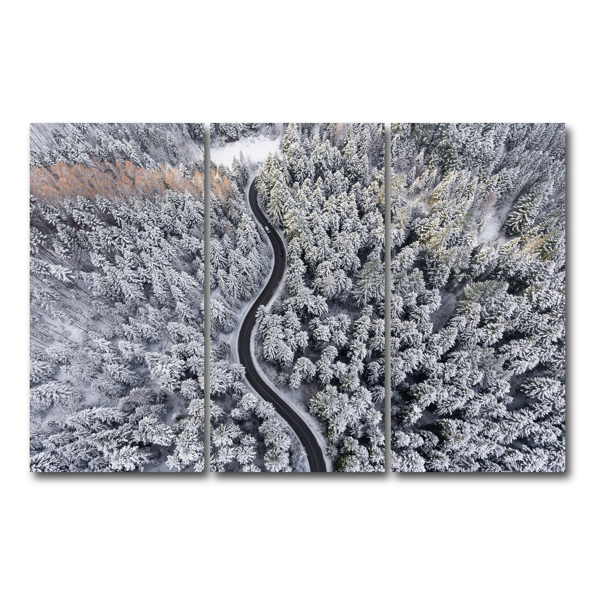AUTO-MOCKUP WHITE | Winding Winter | 3 Piece | Gallery Wrap Canvas | group=12x24