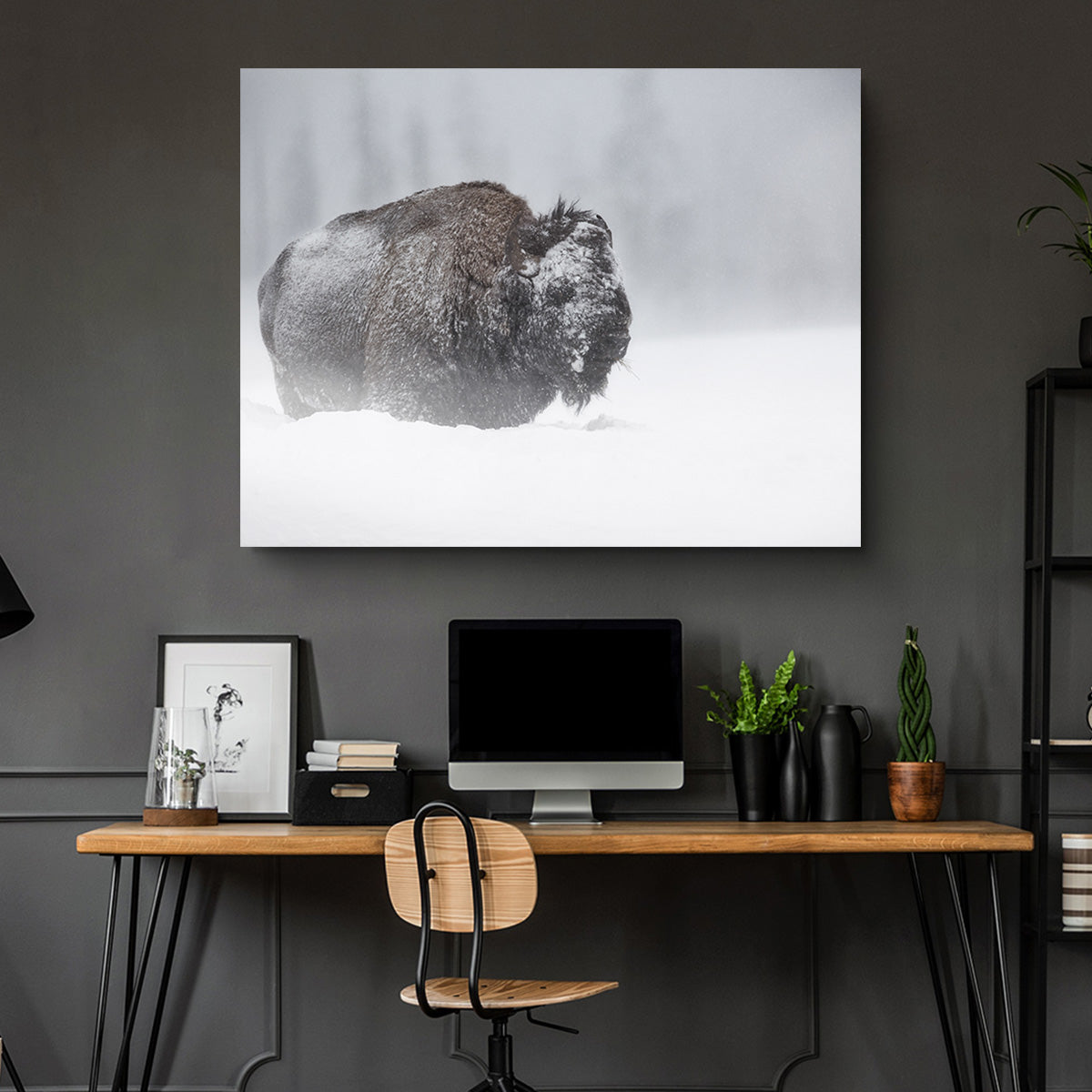 Winter Bison - Yellowstone Wall Art