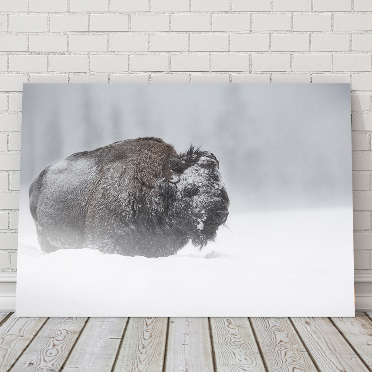 Winter Bison - Yellowstone Wall Art