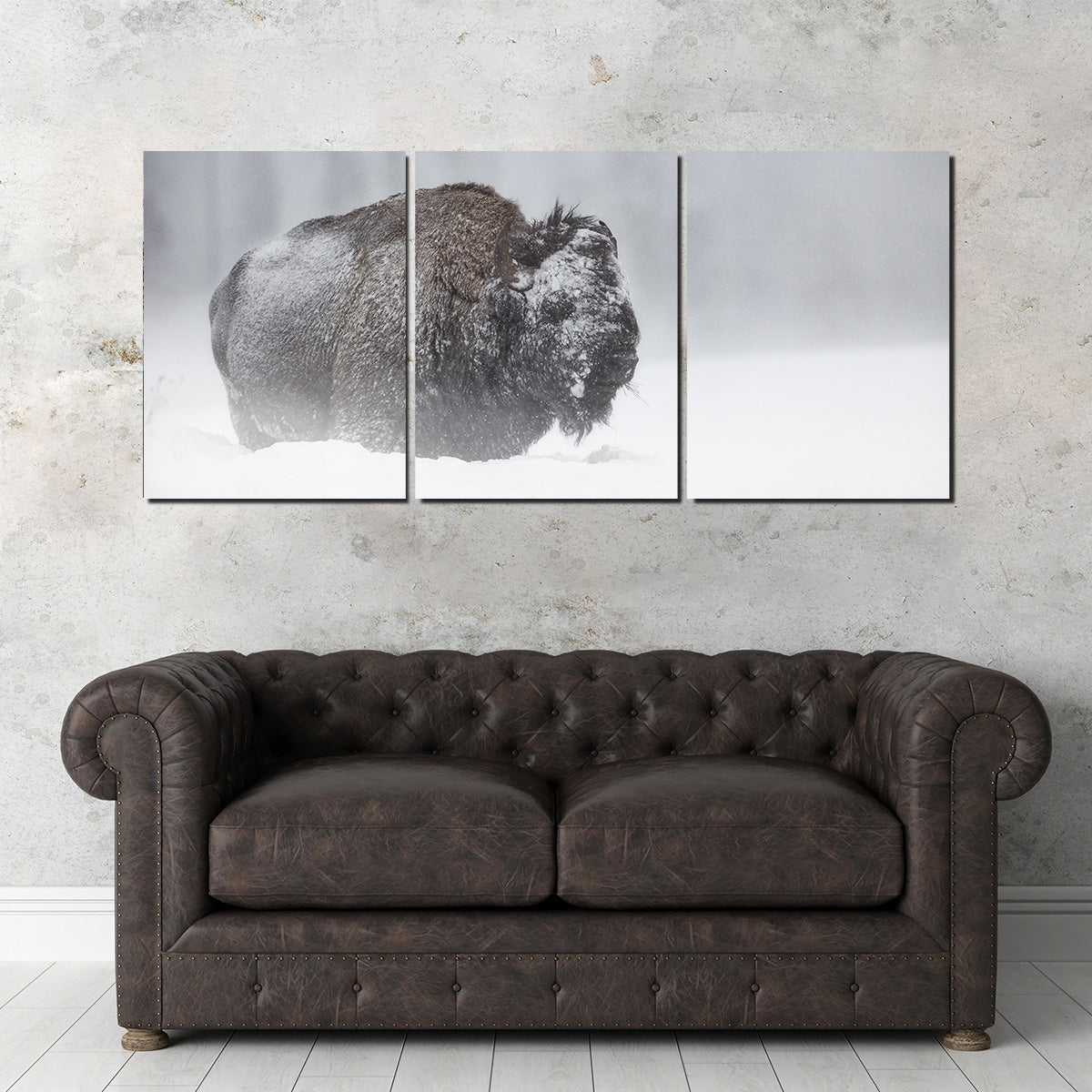 Winter Bison - Yellowstone Wall Art