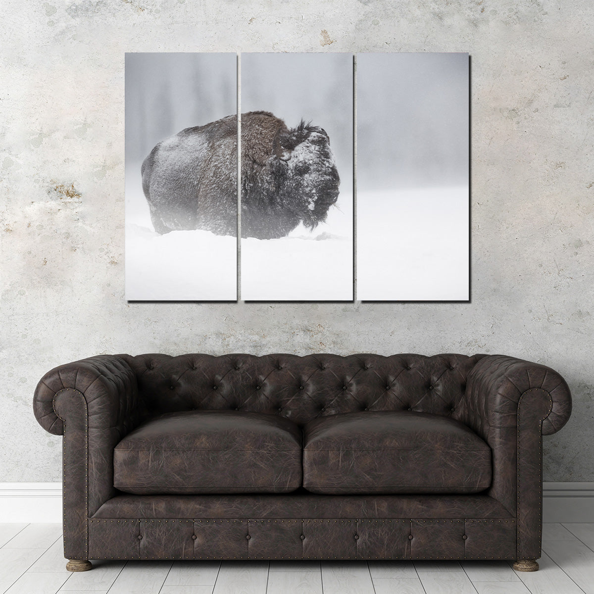 Winter Bison - Yellowstone Wall Art