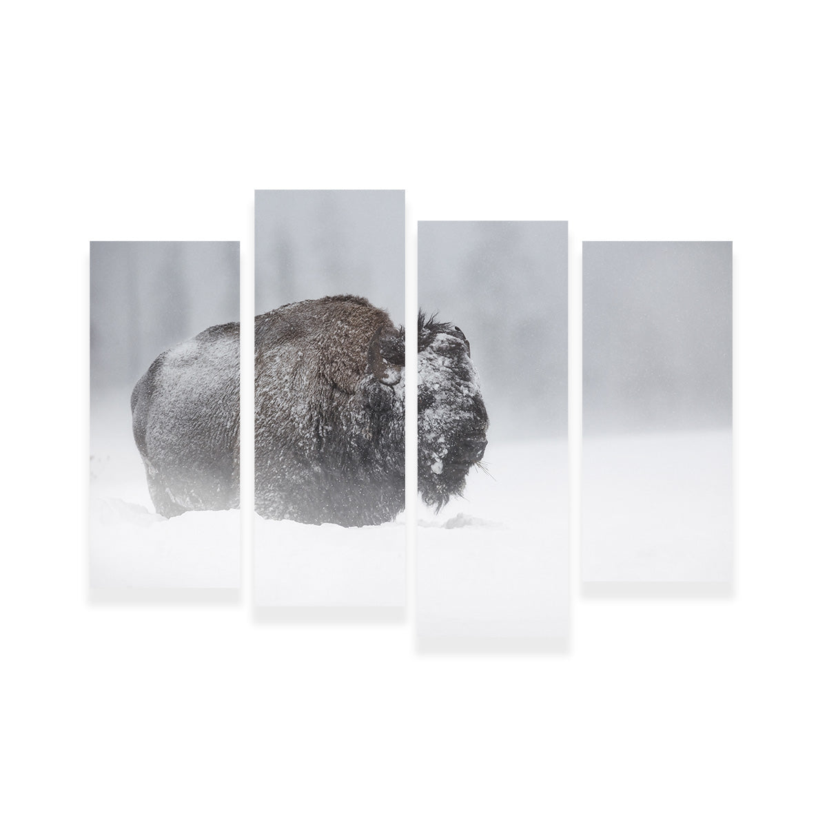 Winter Bison - Yellowstone Wall Art