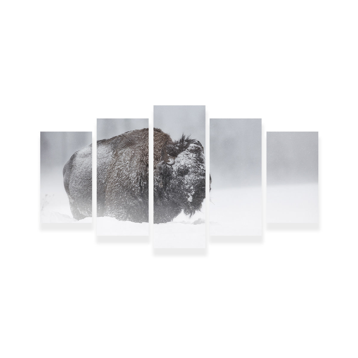 Winter Bison - Yellowstone Wall Art