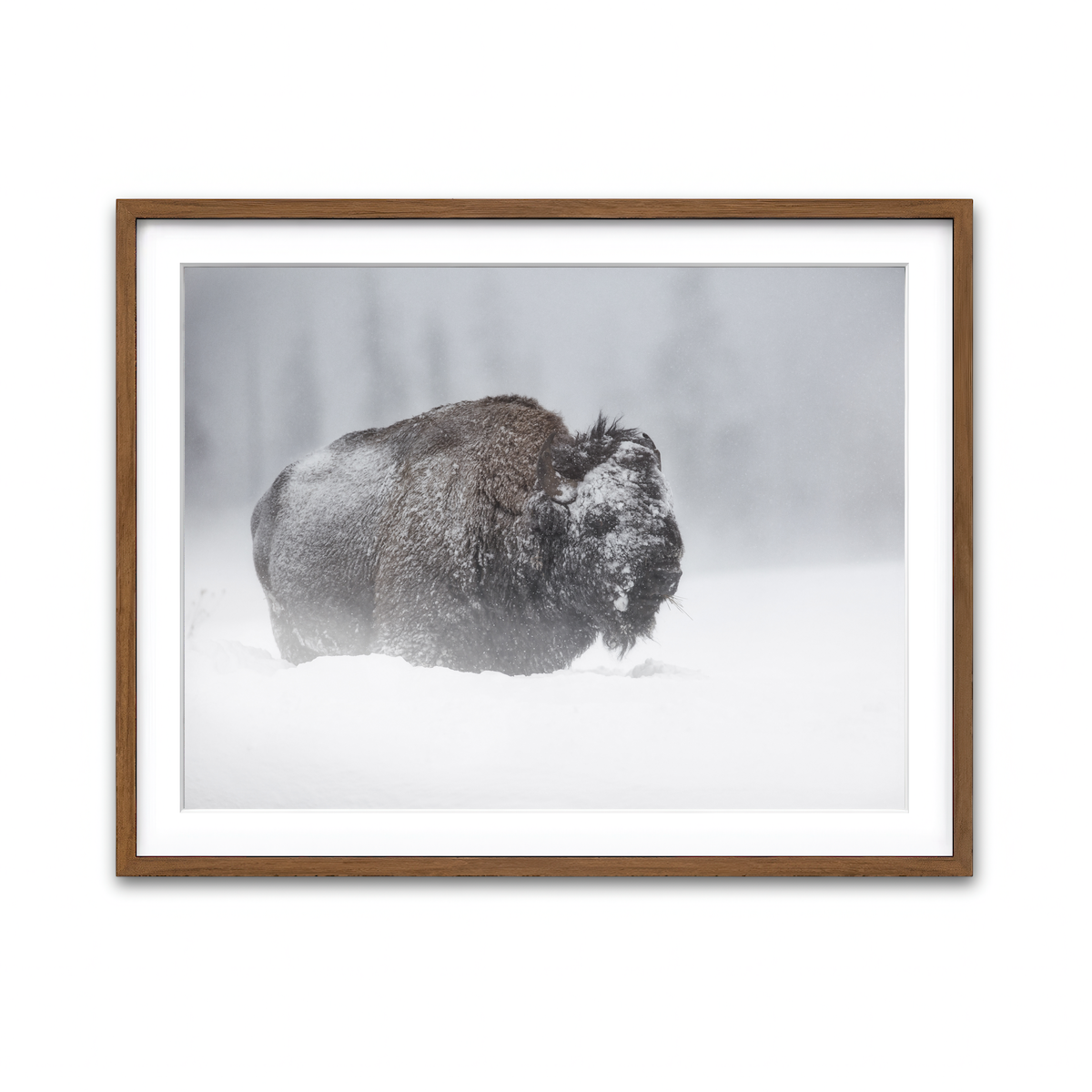 Framed Print 4x3 Walnut