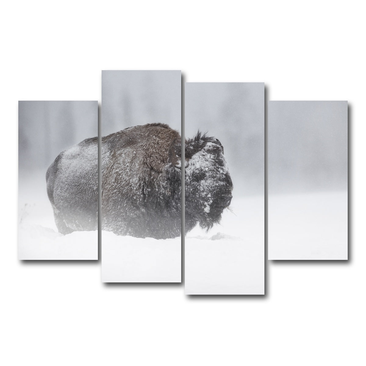 AUTO-MOCKUP WHITE | Winter Bison - Yellowstone | 4 Piece | Gallery Wrap Canvas | group=4_short