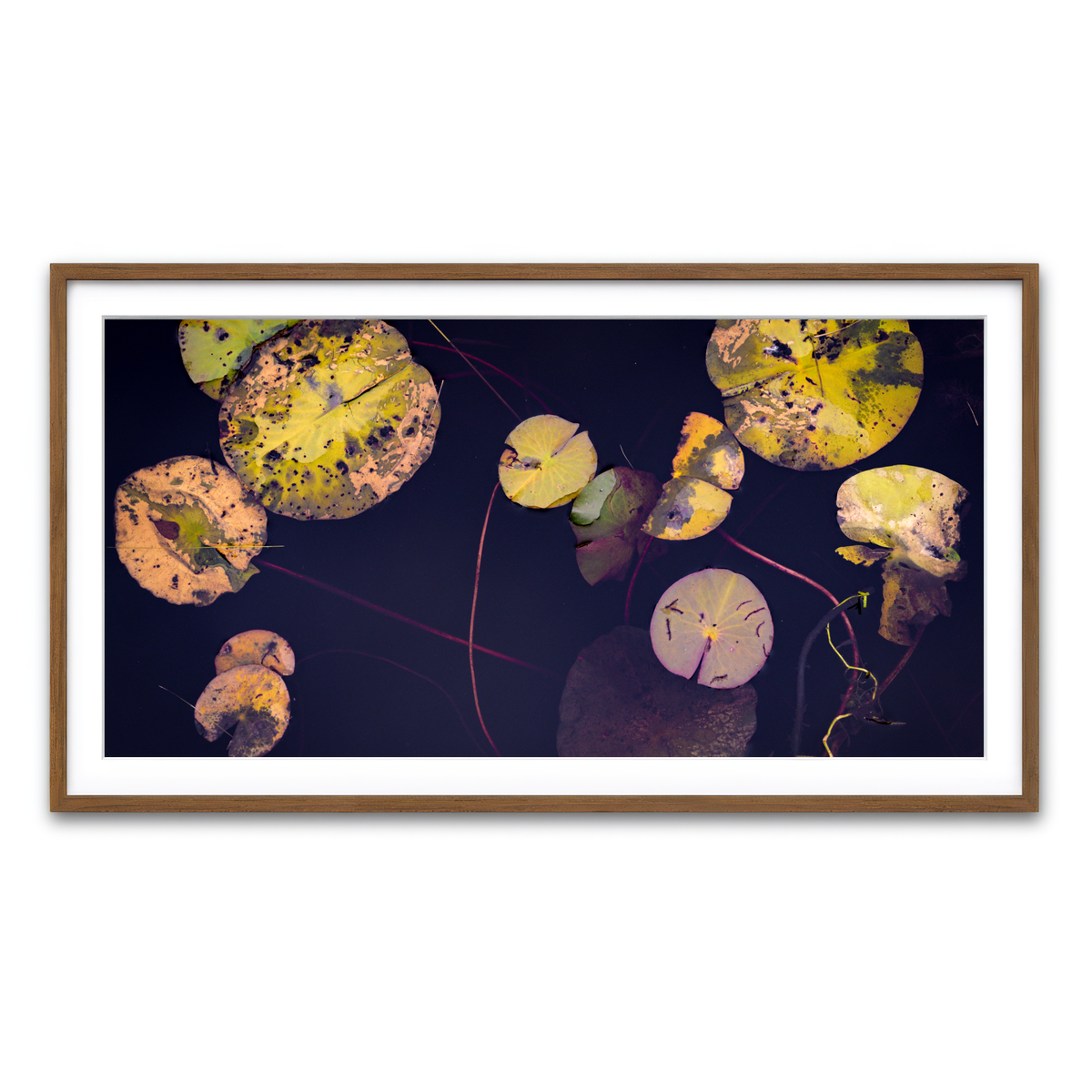 Framed Print 2x1 Walnut