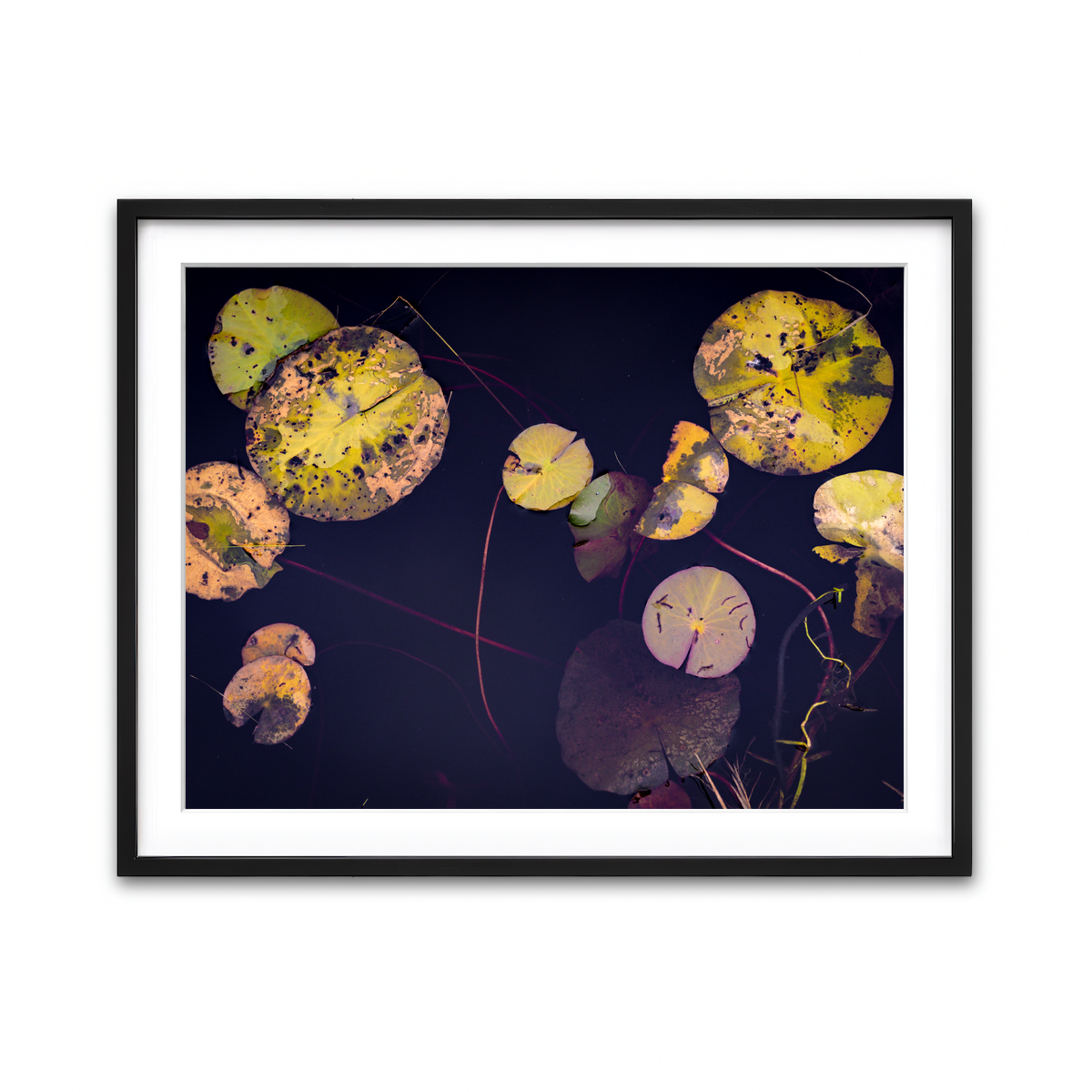 Framed Print 4x3 Black