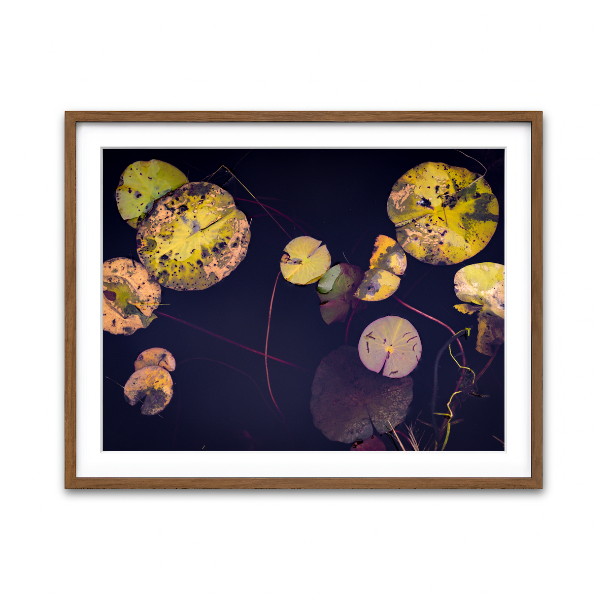Framed Print 4x3 Walnut