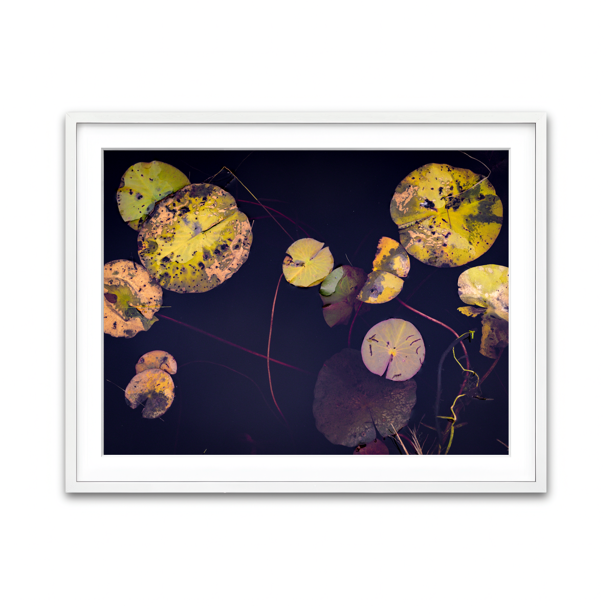 Framed Print 4x3 White