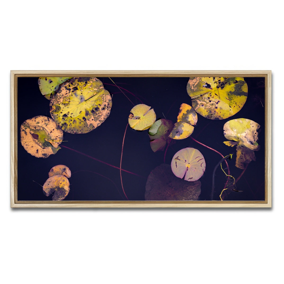 AUTO-MOCKUP WHITE | Winter Lillies | 1 Piece | Natural Framed Canvas | group=2x1