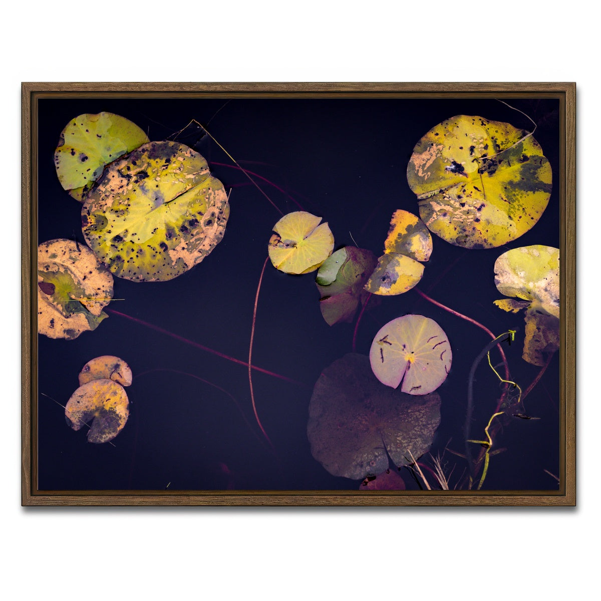 AUTO-MOCKUP WHITE | Winter Lillies | 1 Piece | Walnut Framed Canvas | group=4x3