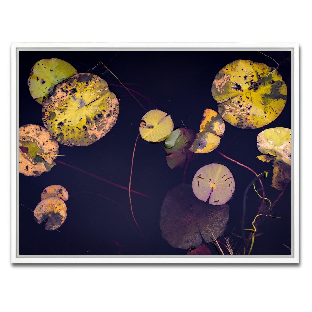 AUTO-MOCKUP WHITE | Winter Lillies | 1 Piece | White Framed Canvas | group=4x3