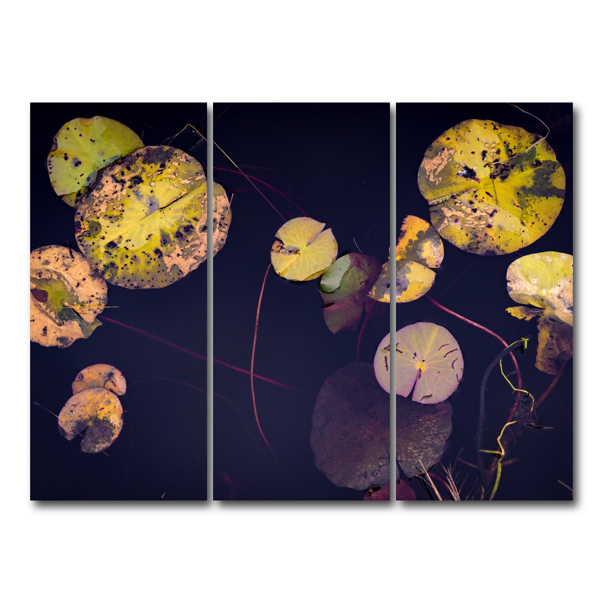 AUTO-MOCKUP WHITE | Winter Lillies | 3 Piece | Gallery Wrap Canvas | group=8x18