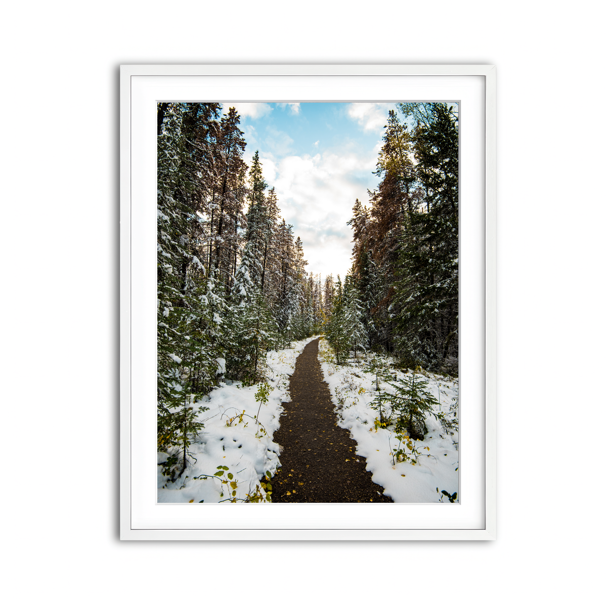 Framed Print 3x4 White