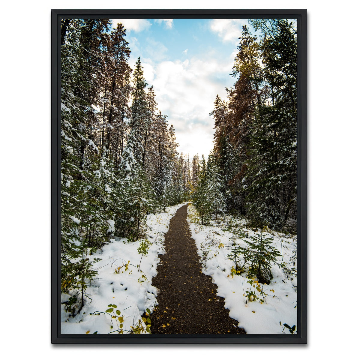 AUTO-MOCKUP WHITE | Winter Path | 1 Piece | Black Framed Canvas | group=3x4