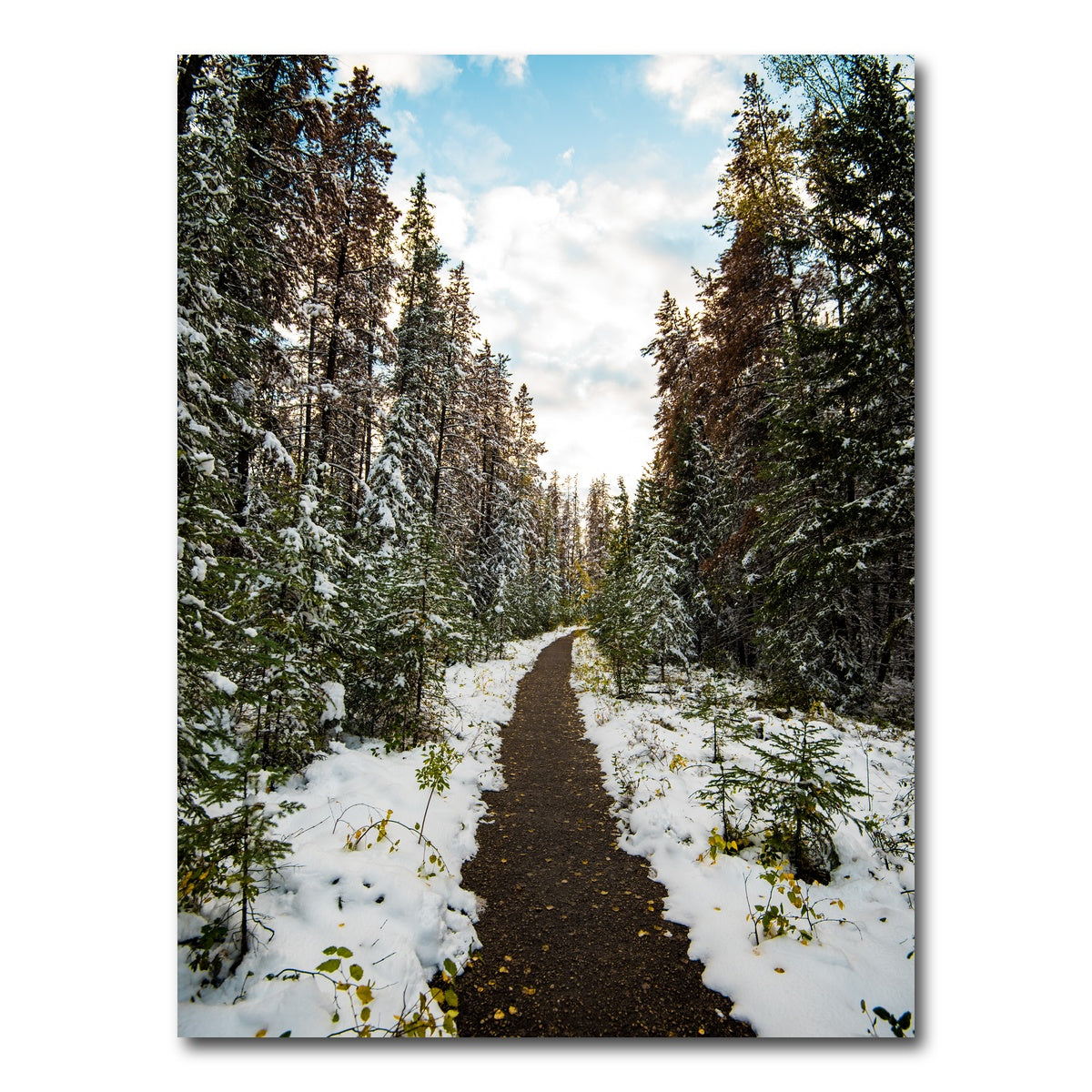 AUTO-MOCKUP WHITE | Winter Path | 1 Piece | Gallery Wrap Canvas | group=3x4
