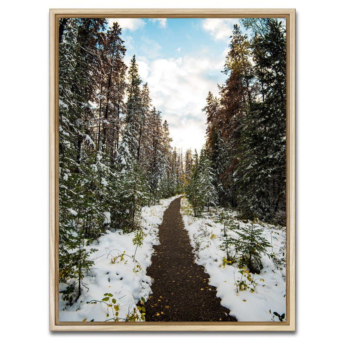 AUTO-MOCKUP WHITE | Winter Path | 1 Piece | Natural Framed Canvas | group=3x4