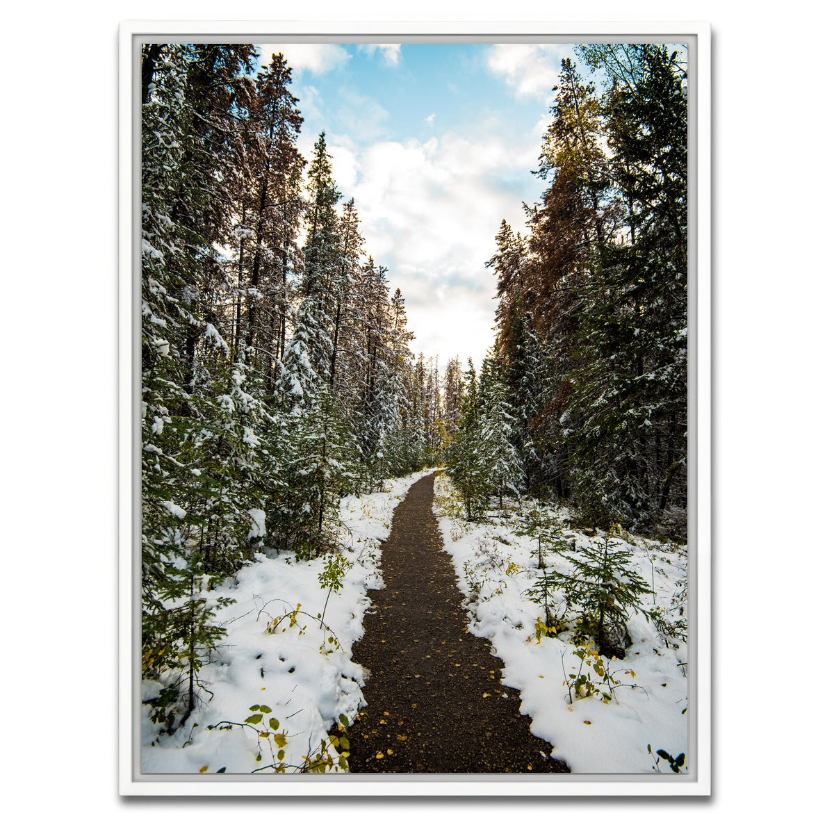 AUTO-MOCKUP WHITE | Winter Path | 1 Piece | White Framed Canvas | group=3x4