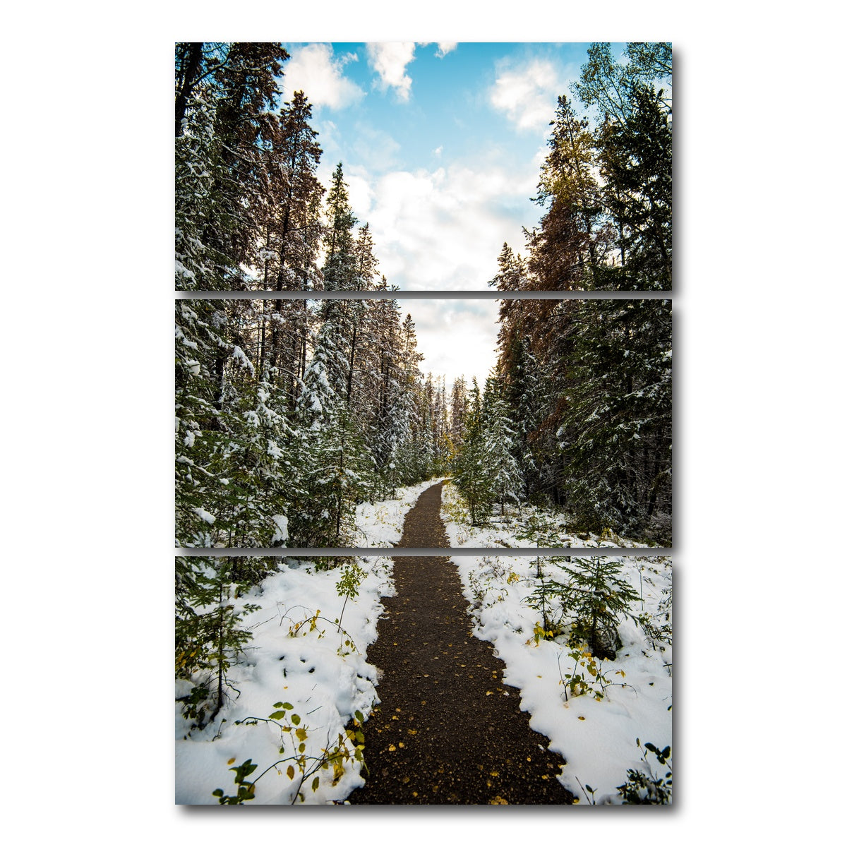 AUTO-MOCKUP WHITE | Winter Path | 3 Piece | Gallery Wrap Canvas | group=12x24_stacked
