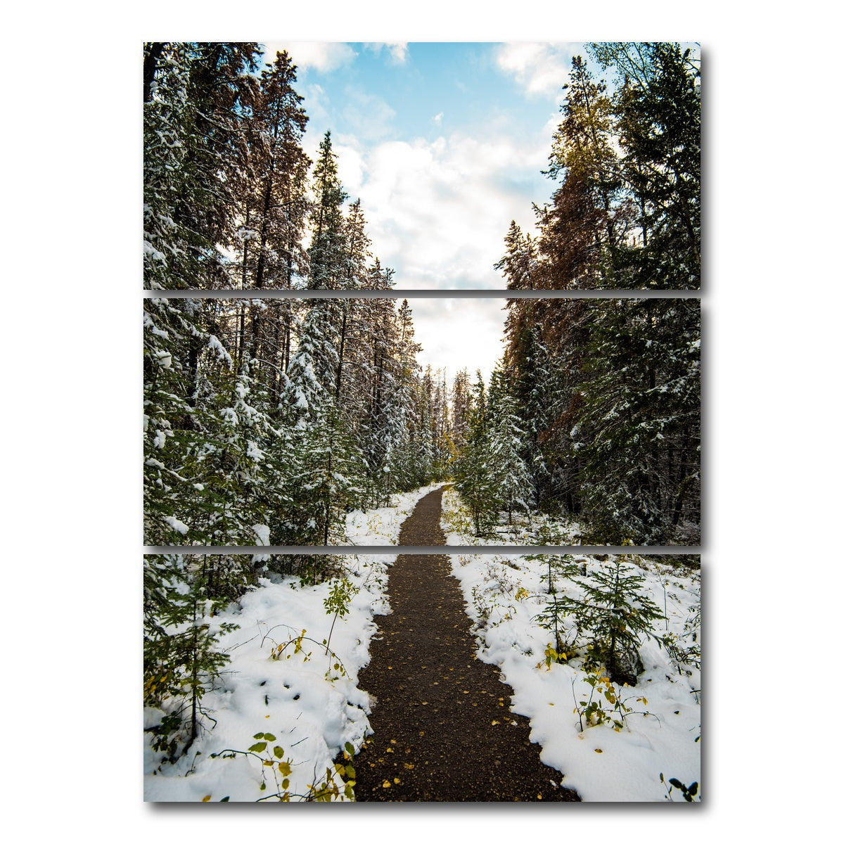 AUTO-MOCKUP WHITE | Winter Path | 3 Piece | Gallery Wrap Canvas | group=8x18_stacked