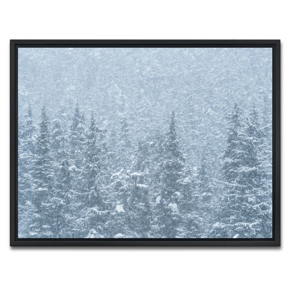 AUTO-MOCKUP WHITE | Winter Shames | 1 Piece | Black Framed Canvas | group=4x3