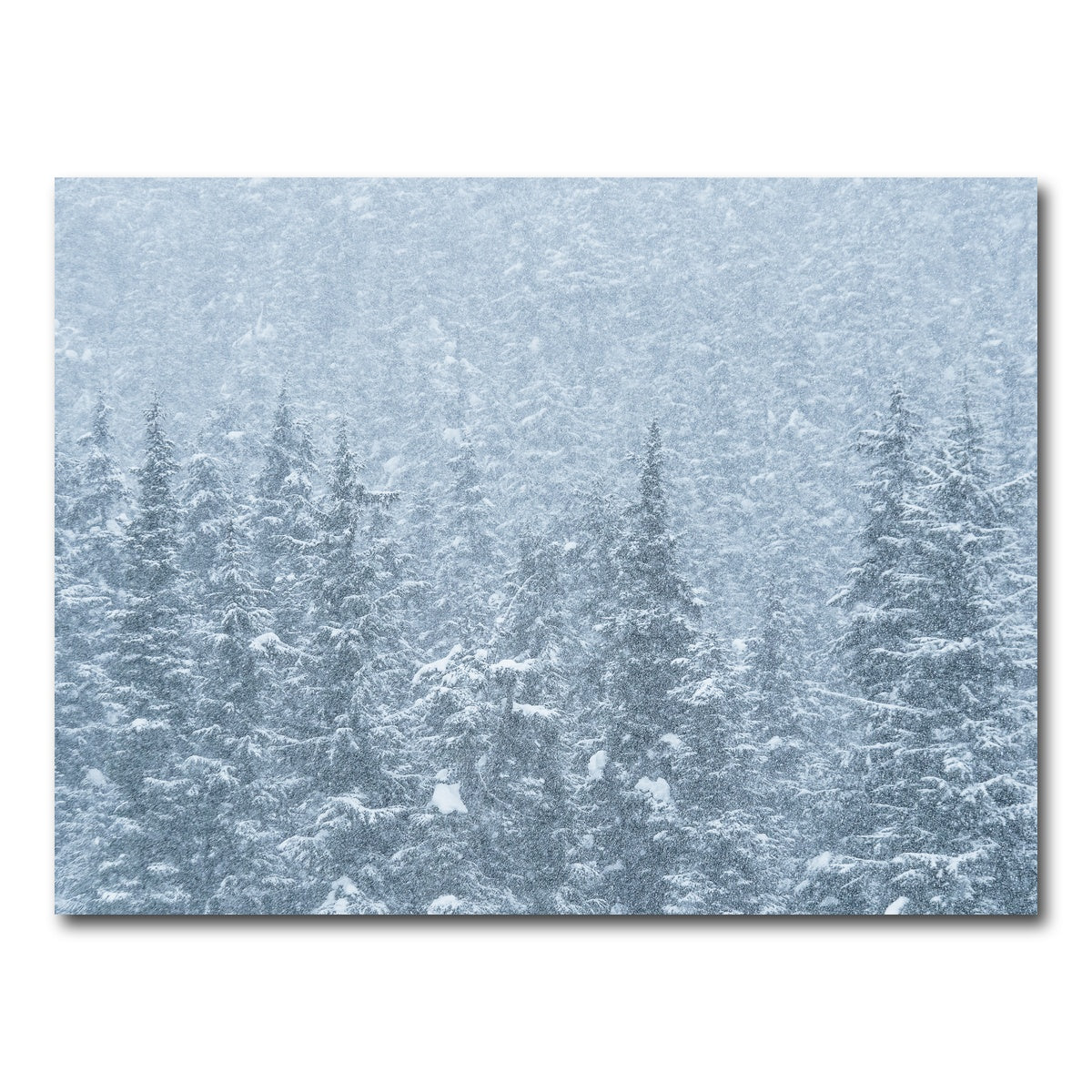 AUTO-MOCKUP WHITE | Winter Shames | 1 Piece | Gallery Wrap Canvas | group=4x3