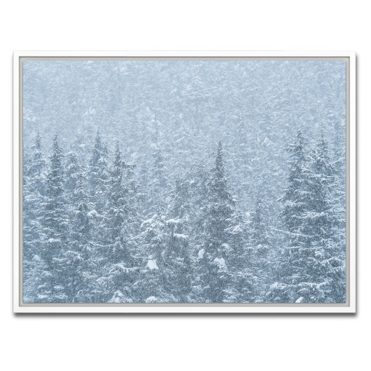 AUTO-MOCKUP WHITE | Winter Shames | 1 Piece | White Framed Canvas | group=4x3