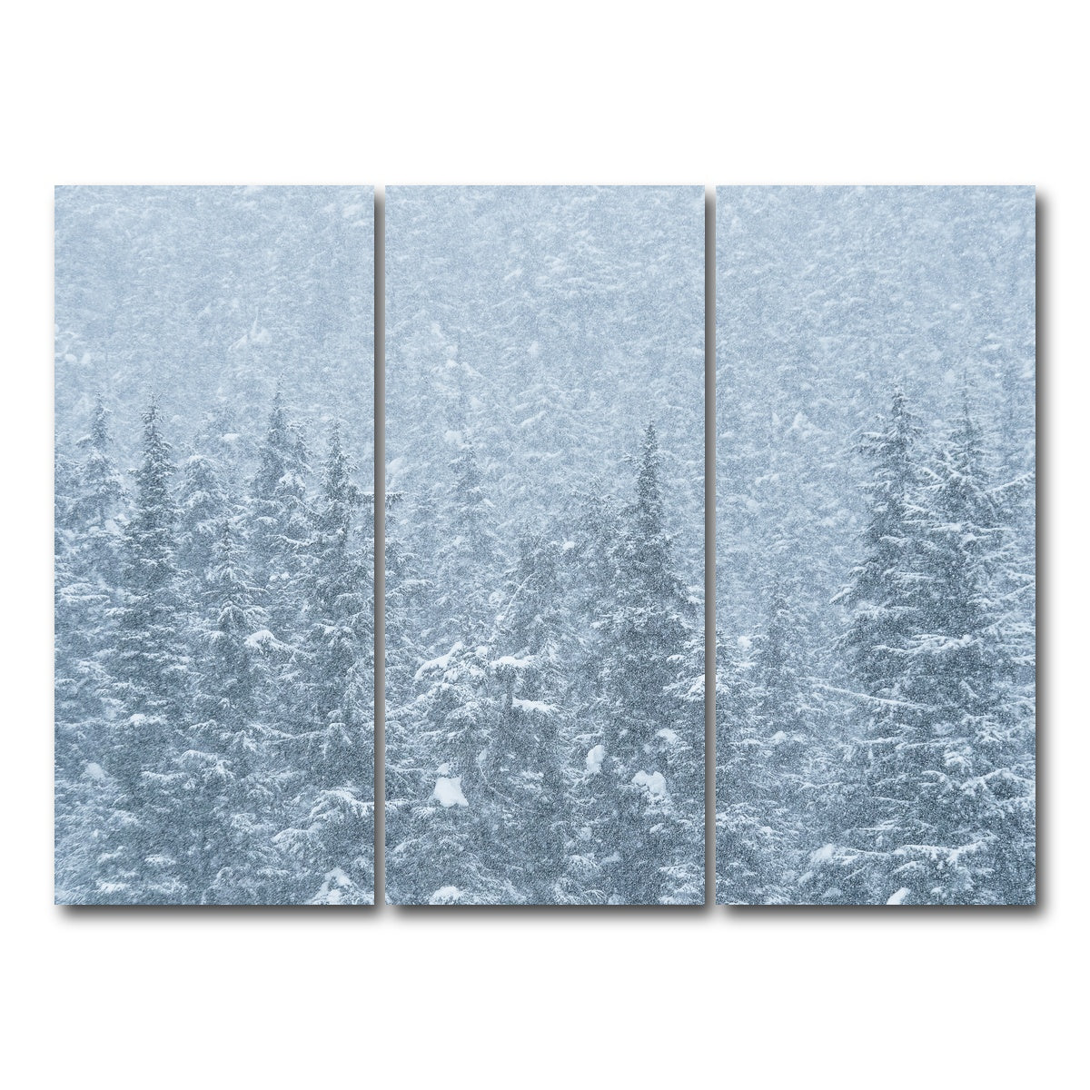 AUTO-MOCKUP WHITE | Winter Shames | 3 Piece | Gallery Wrap Canvas | group=8x18
